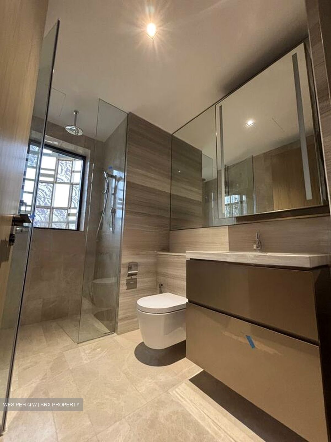 Klimt Cairnhill (D9), Apartment #484083411